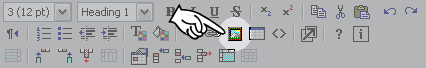 Insert/Modify Image(画像を挿入・変更)ボタン